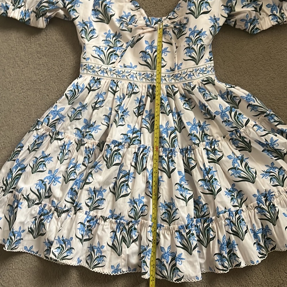 Agua by Agua Bendita Blue and White Floral Mini Dress - Picture 4 of 11